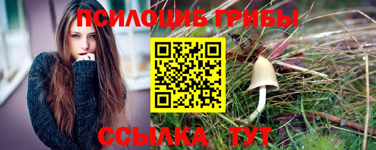 купить наркотики цена  Вход с VPN  Кунгур  Галлюциногенные грибы MAGIC MUSHROOMS 